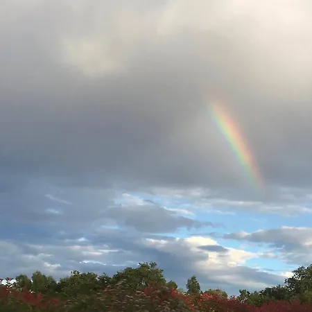 Meirinha House Σαλέ Βιάνα ντο Καστέλο