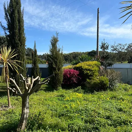 Meirinha House בקתה *