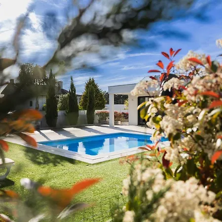 Meirinha House Chalet *