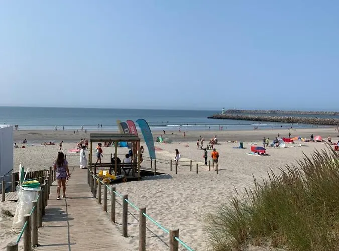 Chalet Meirinha House