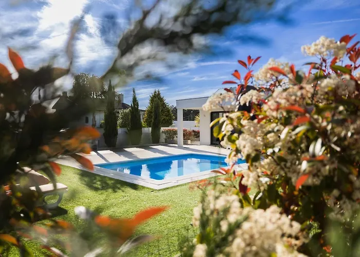 Meirinha House Chalet *